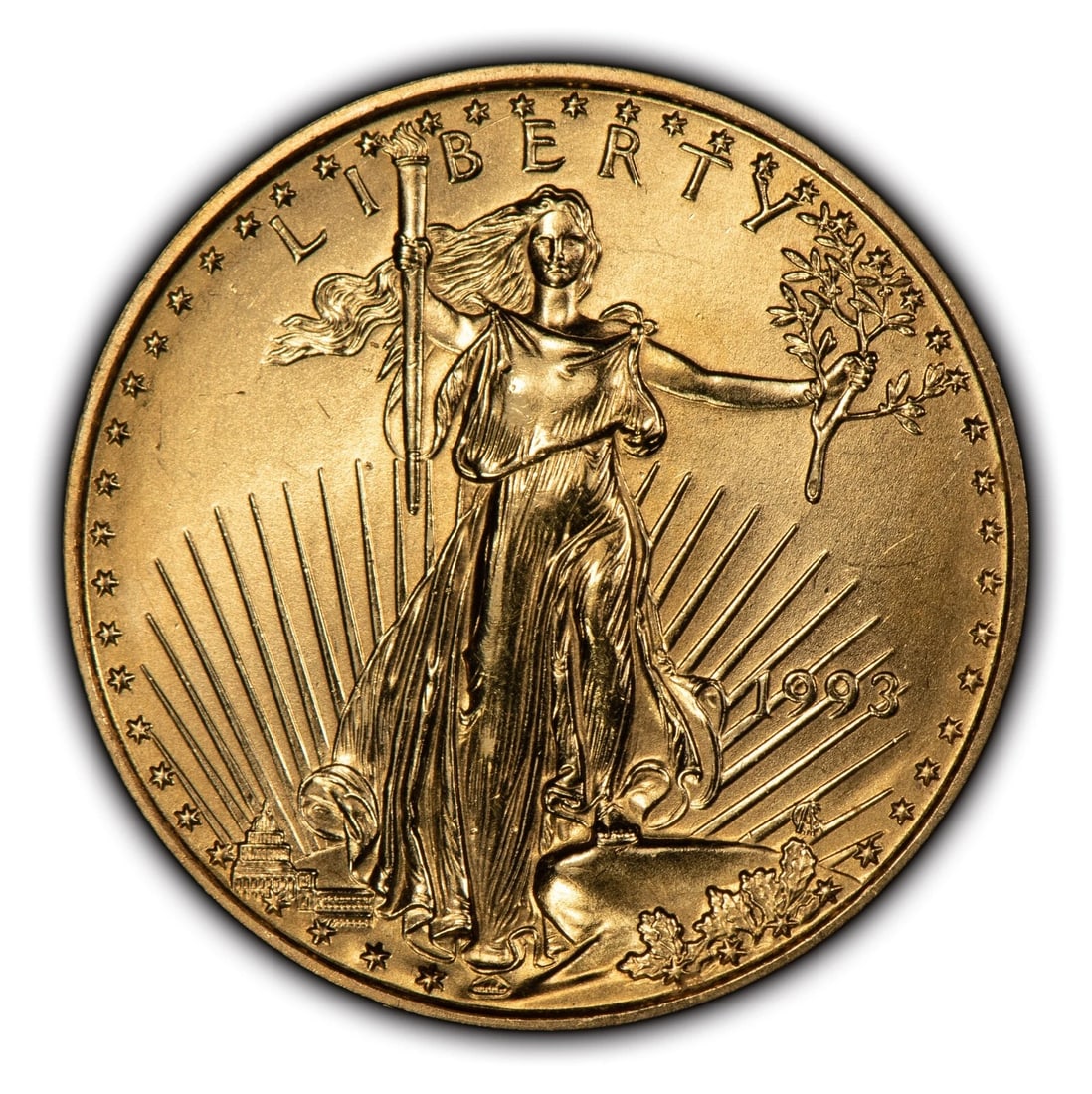 1993 G$10 1/4 OZ GOLD AMERICAN EAGLE (1 of 4)