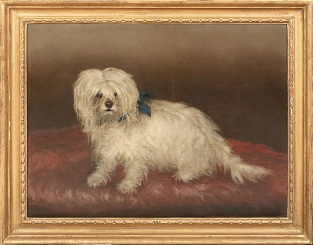 PORTRAIT OF A MALTESE TERRIER OIL PAINTING: Year: 19th century Size: 28" x 22" Medium: Oil Description: An expansive oil painting from the 19th century depicting a Maltese Terrier dog resting on a crimson cushion. Outstanding quality and condit