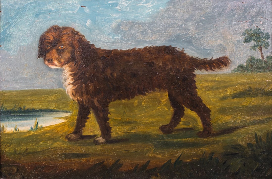 PORTRAIT OF A PORTUGUESE WATER SPANIEL OIL PAINTING (1 of 11)