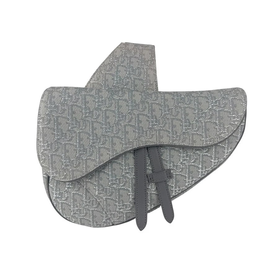 CHRISTIAN DIOR SADDLE BAG SHOULDER BAG GRAY CANVAS SHOULDER BAG: Christian Dior Saddle Bag Shoulder Bag Gray Canvas Shoulder Bag Brand: Christian Dior Type: Shoulder Bag Material: canvas Color: Gray Size: W:7.1inx H:7.9inx D:1.6in Shoulder Length: 40.2in 