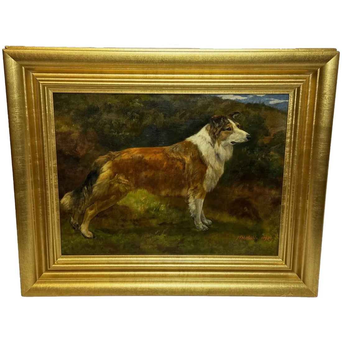 LARGE VICTORIAN OIL PORTRAIT ROUGH COLLIE SIGNED: Large Victorian Oil Portrait Rough Collie Signed Year of Production: 1898 Type: Painting Time Period Produced: 1850-1899 Material: Canvas Production Technique: Oil Painting Size : Item Length 4 c