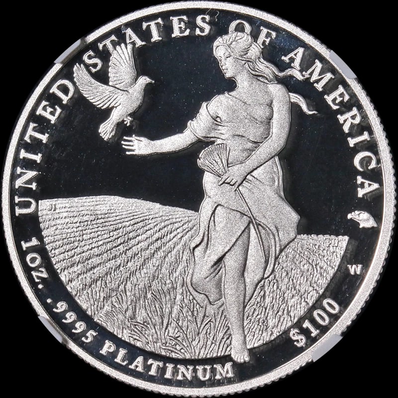 2011-W PLATINUM AMERICAN EAGLE - 2