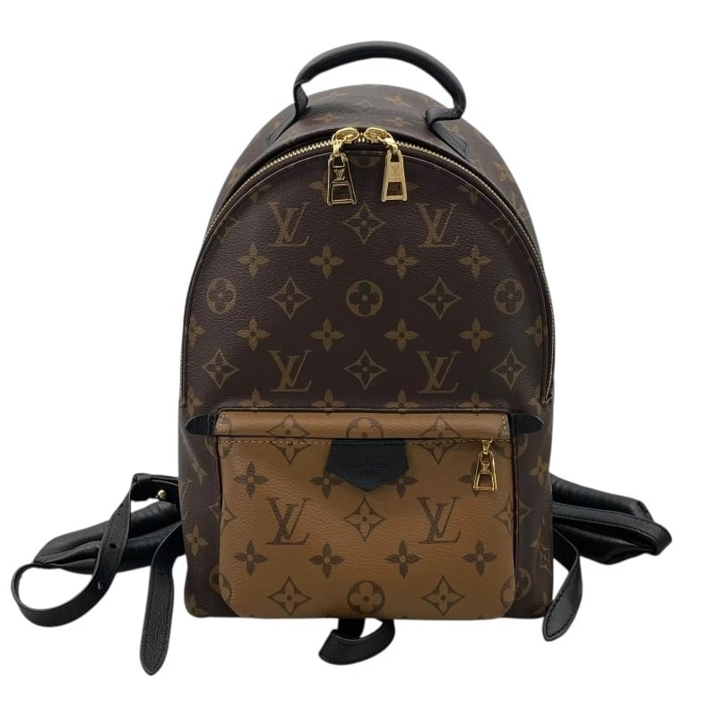 LOUIS VUITTON PALM SPRINGS BACKPACK (1 of 7)