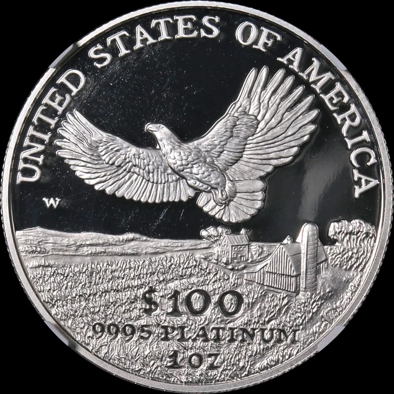 2000-W PLATINUM AMERICAN EAGLE $100 - 2