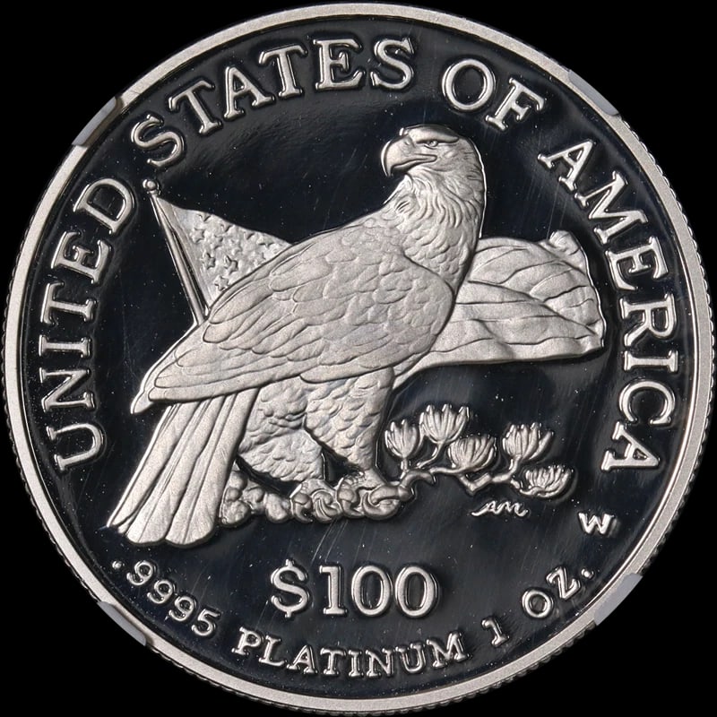 2003-W PLATINUM AMERICAN EAGLE - 2