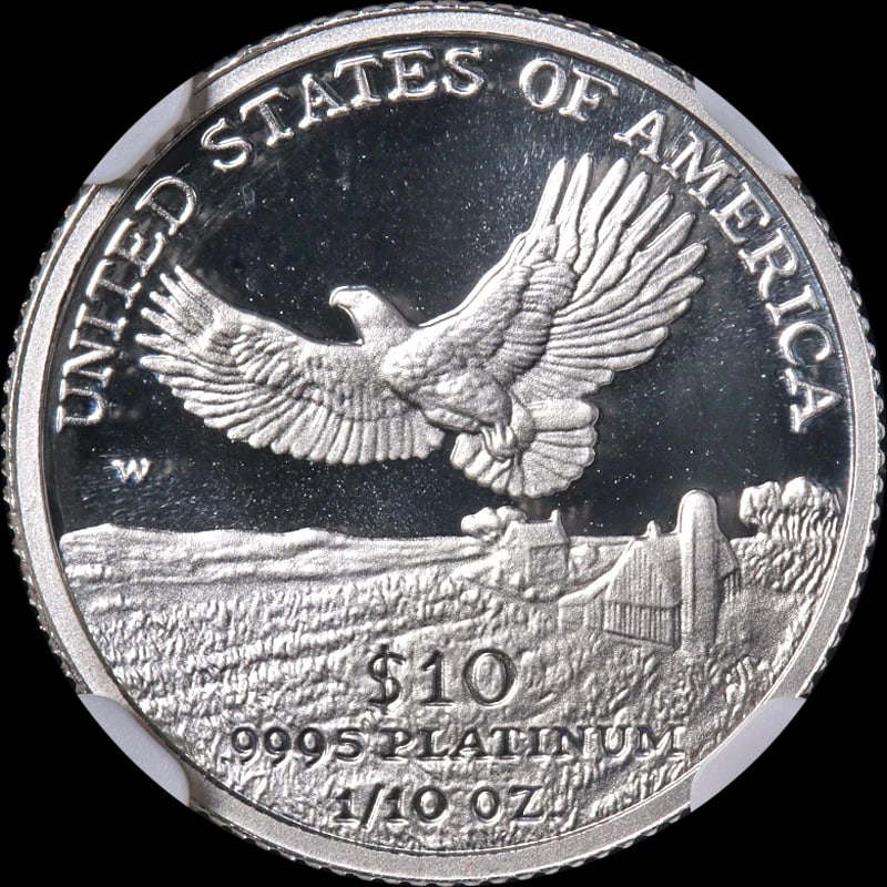 2000-W PLATINUM AMERICAN EAGLE $10 - 2
