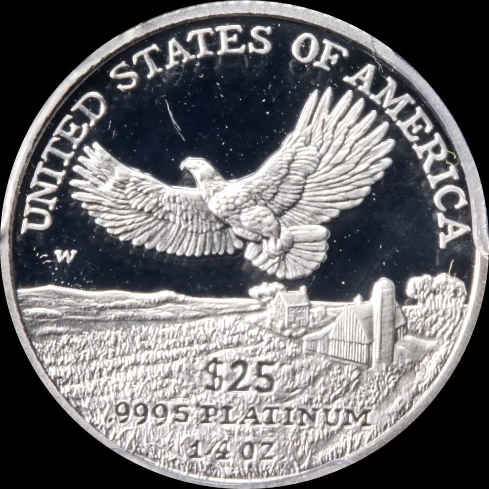 2000-W PLATINUM AMERICAN EAGLE - 2