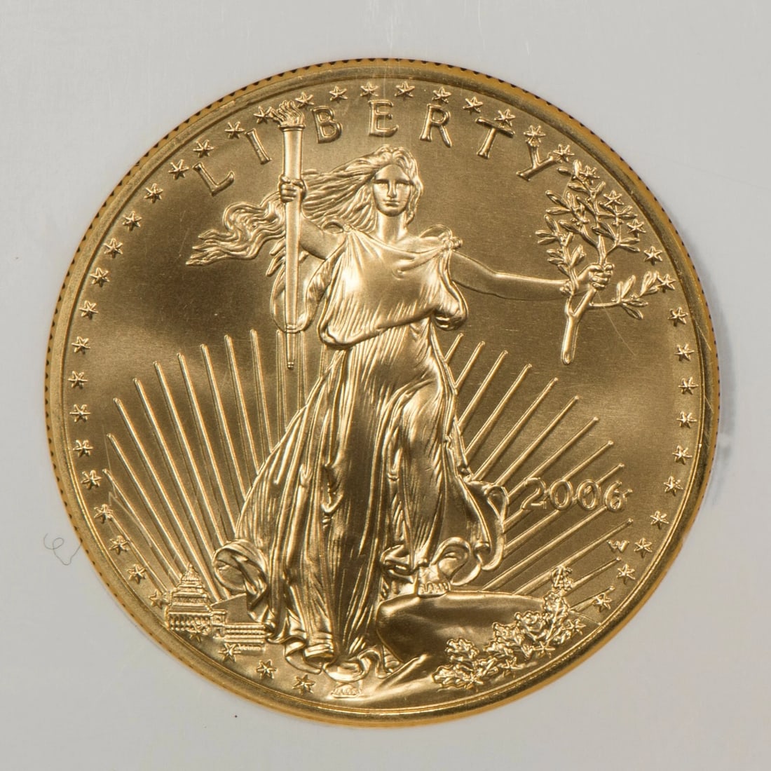 2006 G$50 1 OZ AMERICAN GOLD EAGLE COIN - 20TH ANNIVERSARY (1 of 2)