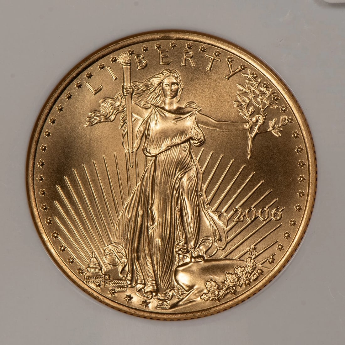 2006 G$25 1/2 OZ GOLD AMERICAN EAGLE: 2006 G$25 1/2 oz Gold American Eagle Brand/Mint: U.S. Mint Year: 2006 Fineness: 0.9167 Composition: Gold Coin: American Eagle Denomination: $25 Country of Origin: United States A