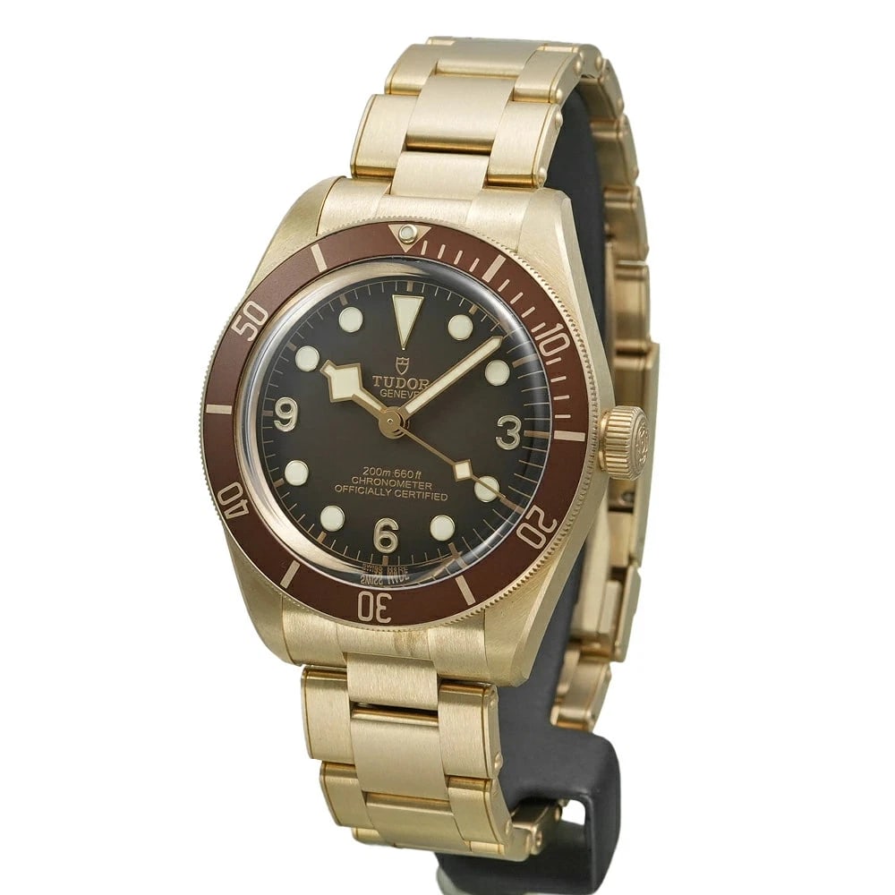 TUDOR BLACK BROWN WATCH - 3