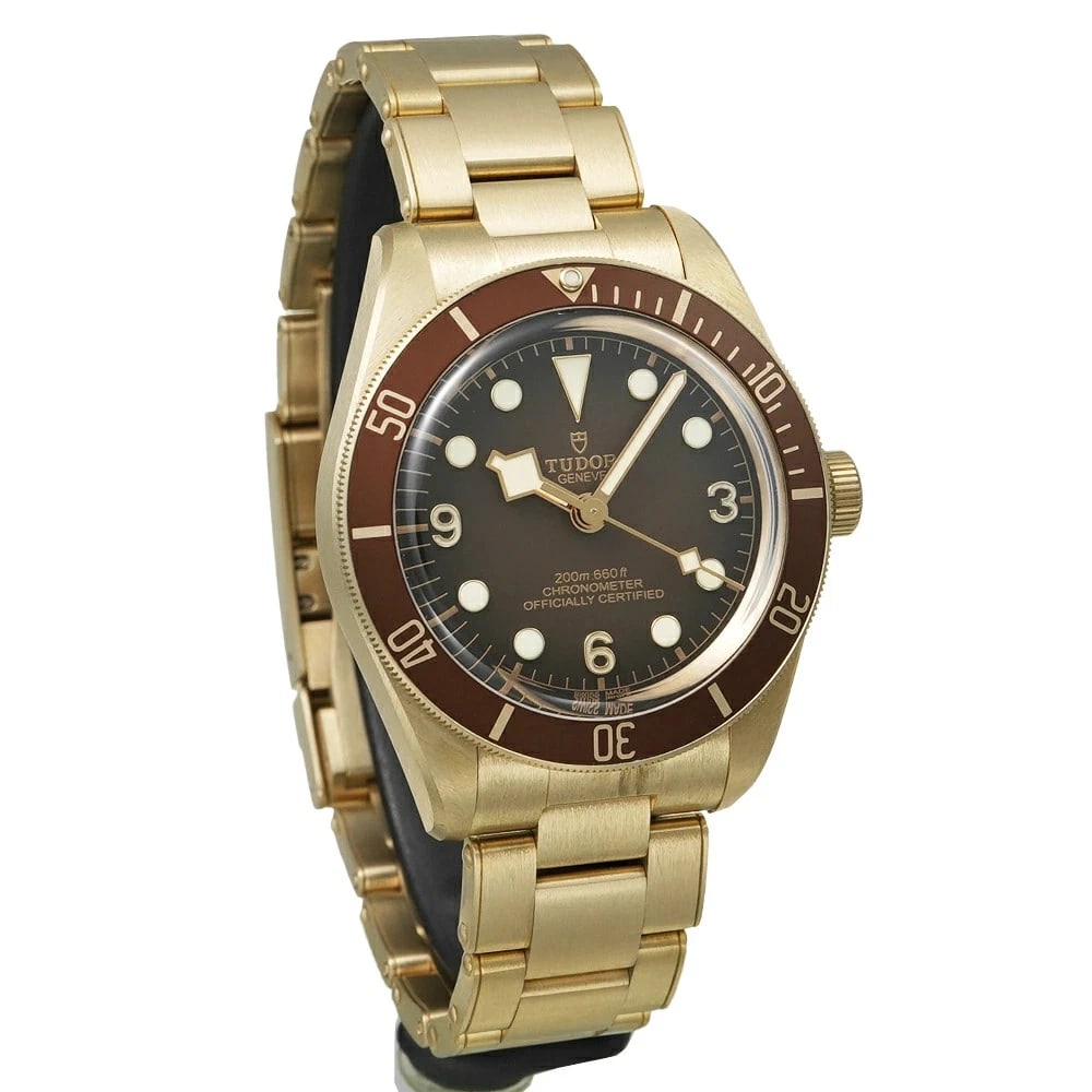 TUDOR BLACK BROWN WATCH - 4