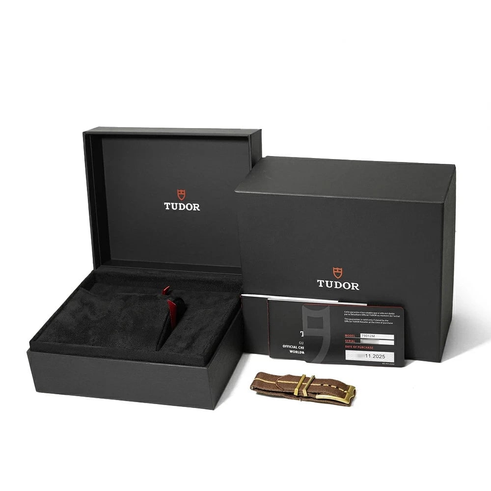 TUDOR BLACK BROWN WATCH - 8