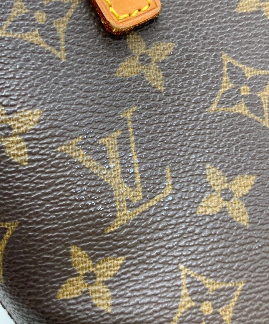 LOUIS VUITTON MONOGRAM VAVIN PM - 5