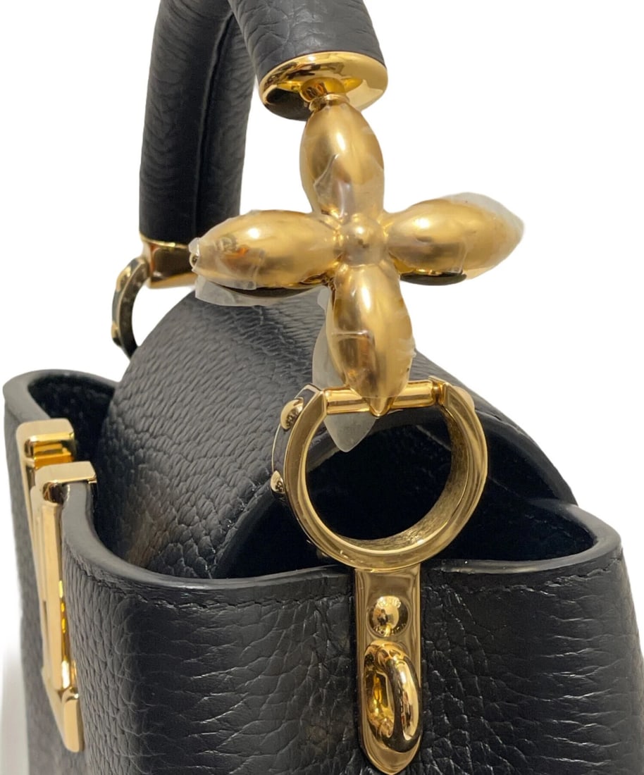 LOUIS VUITTON CAPUCINES MINI - 7