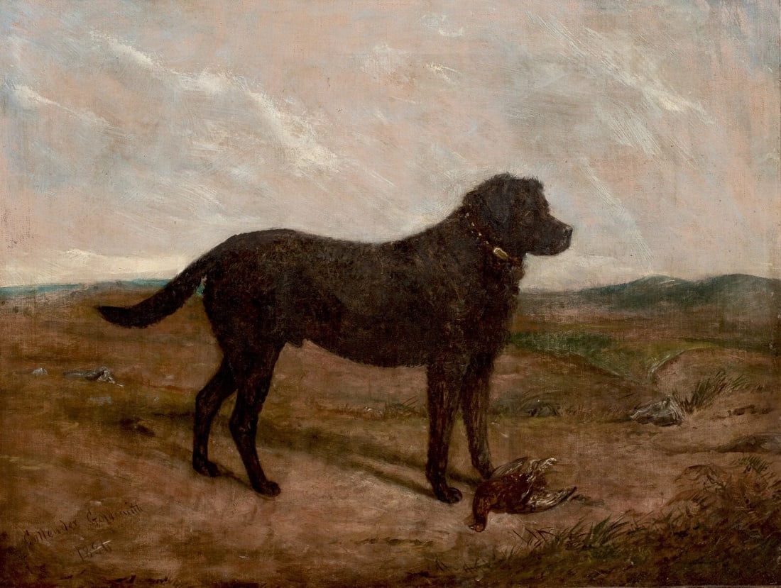 PORTRAIT OF A BLACK LABRADOR RETRIEVER OIL PAINTING: Year: 19th century Size: 31" x 26" Medium: Oil Description: Collender Goldsmith's large oil painting from the 19th century depicts a Black Labrador Retriever in a countryside. Signed and in its origin