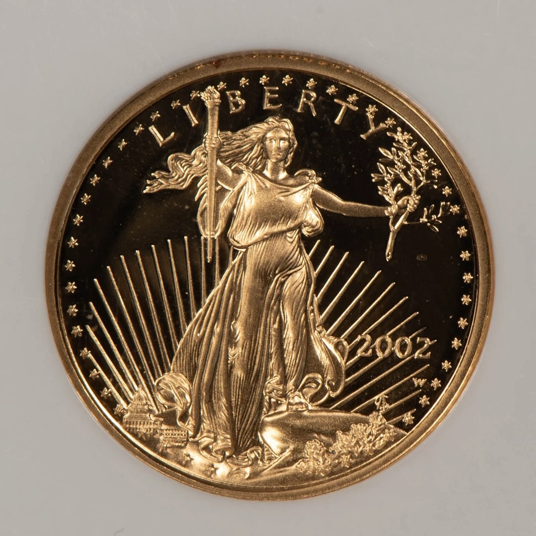 2002-W G$5 1/10 OZ GOLD AMERICAN EAGLE PROOF: 2002-W G$5 1/10 oz Gold American Eagle Proof Brand/Mint: U.S. Mint Year: 2002 Fineness: 0.9167 Country of Origin: United States Accessories: None Accessories Notice: When purchasing pre-owned good