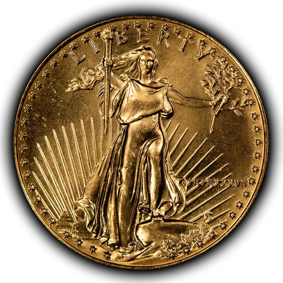 1987 G$25 1/2 OZ GOLD AMERICAN EAGLE: 1987 G$25 1/2 oz Gold American Eagle Brand/Mint: U.S. Mint Year: 1987 Fineness: 0.9167 Country of Origin: United States Accessories: None Accessories Notice: When purchasing pre-owned goods, pleas