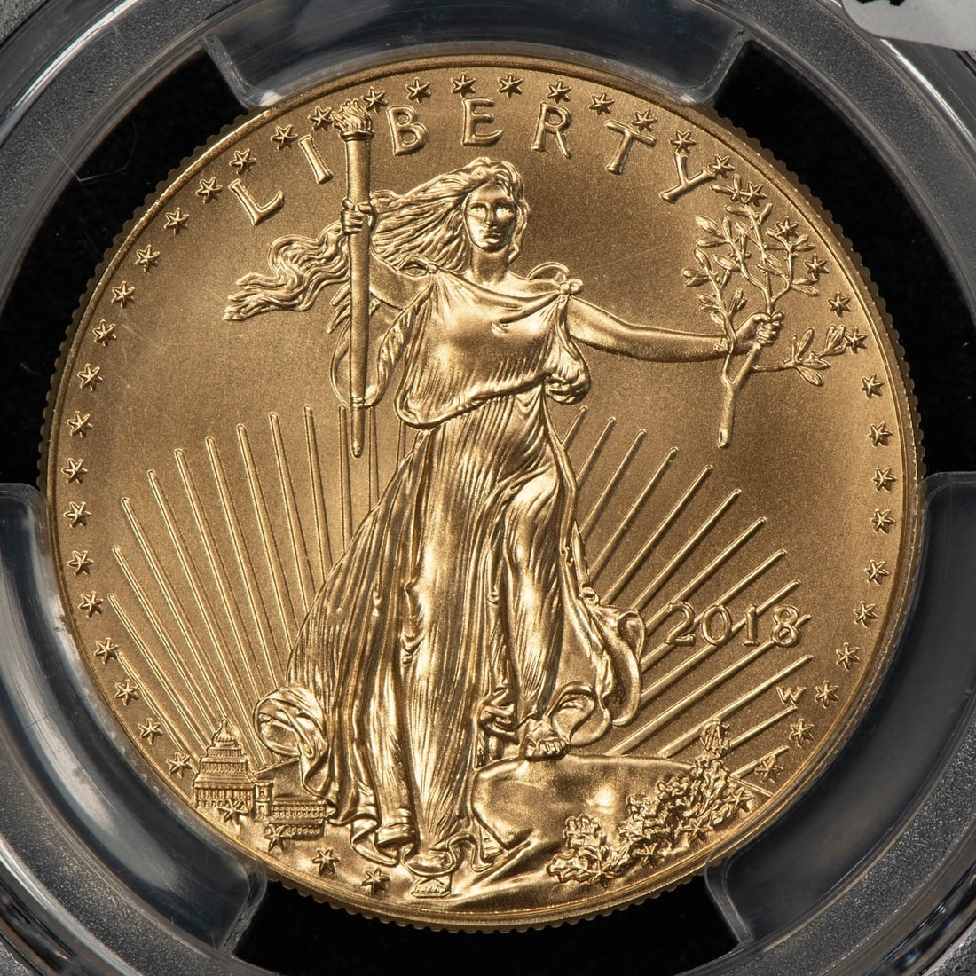 2018-W G$50 1 OZ GOLD EAGLE BURNISHED WP MINT HOARD (1 of 2)