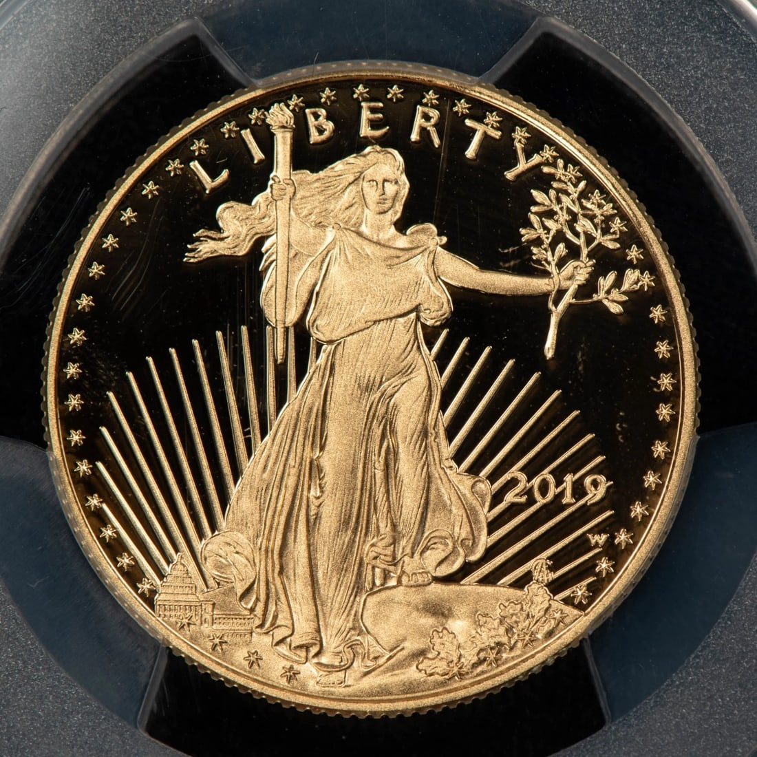 2019-W G$25 1/2 OZ GOLD EAGLE PROOF (1 of 2)