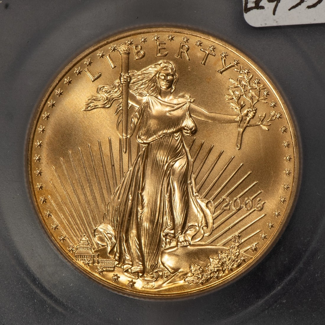 2006 G$50 1 OZ GOLD AMERICAN EAGLE (1 of 2)
