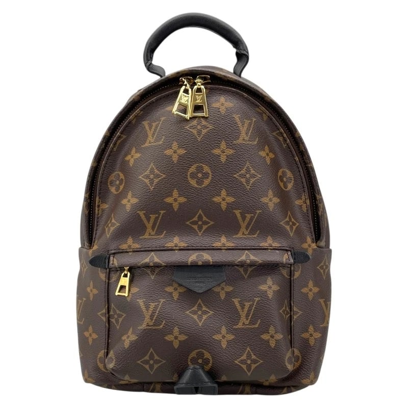LOUIS VUITTON PALM SPRINGS BACKPACK (1 of 5)