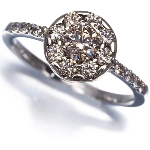 KASHIKEY RING DIAMOND 18K BG/PT 900 (1 of 3)