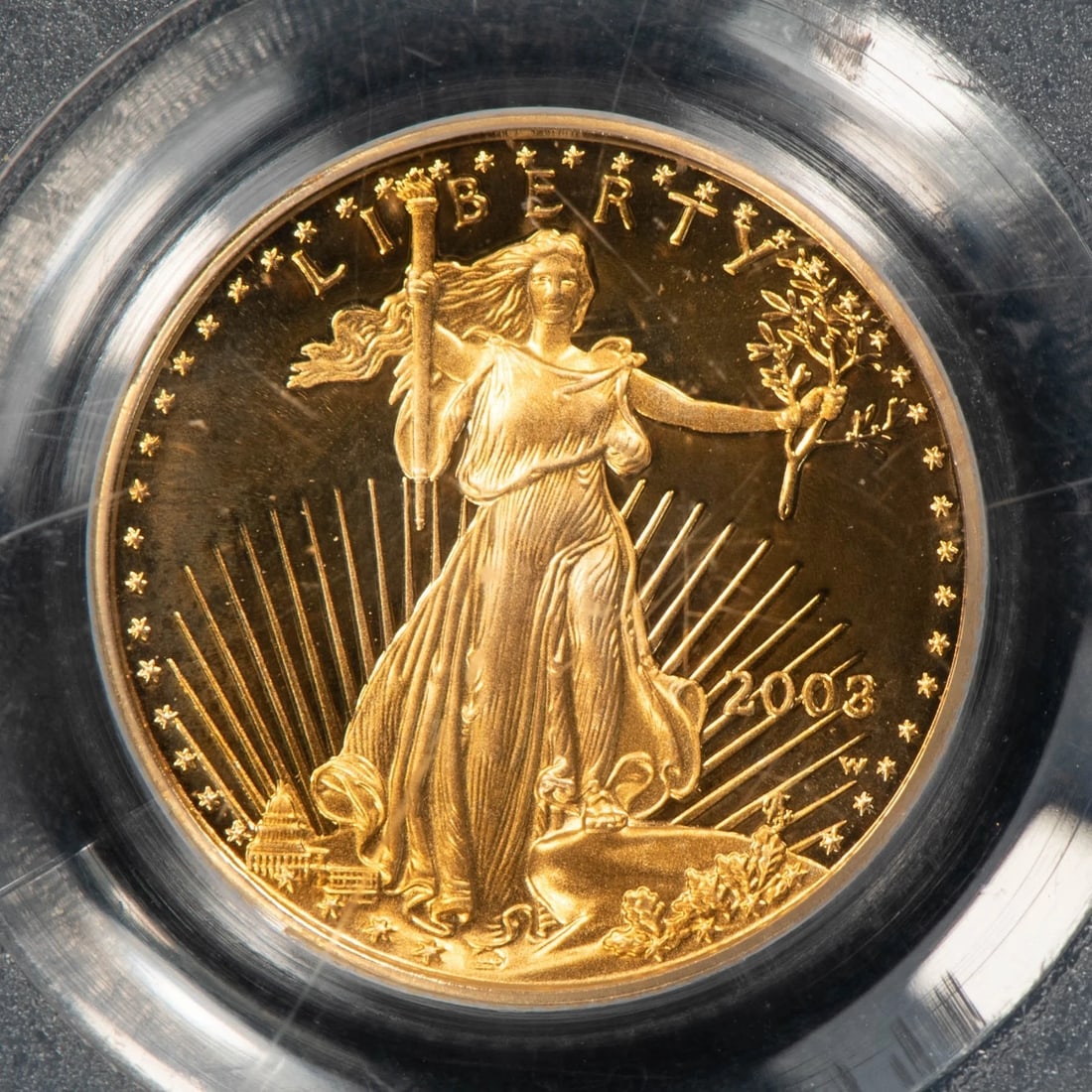 2003-W G$5 1/10 OZ GOLD AMERICAN EAGLE PROOF (1 of 2)