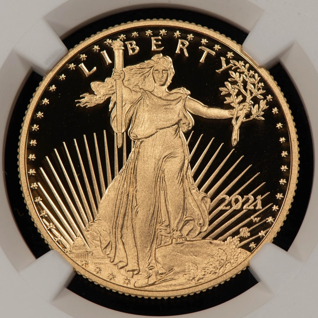 2021-W G$25 1/2 OZ GOLD AMERICAN EAGLE PROOF TYPE 2 (1 of 2)