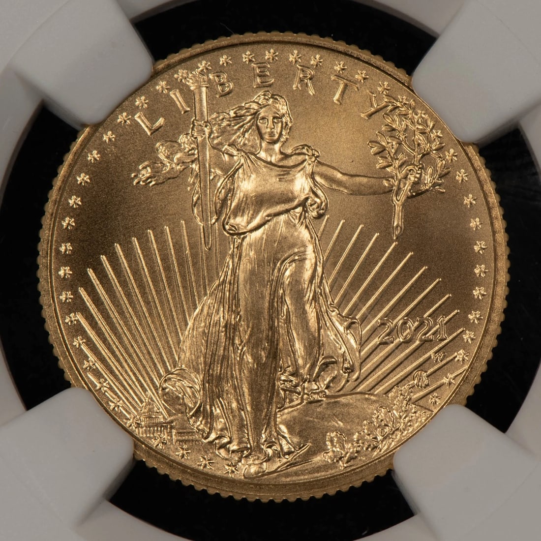 2021-W $10 1/4 OZ GOLD EAGLE - TYPE 2 UNFINISHED PROOF DIES (1 of 2)