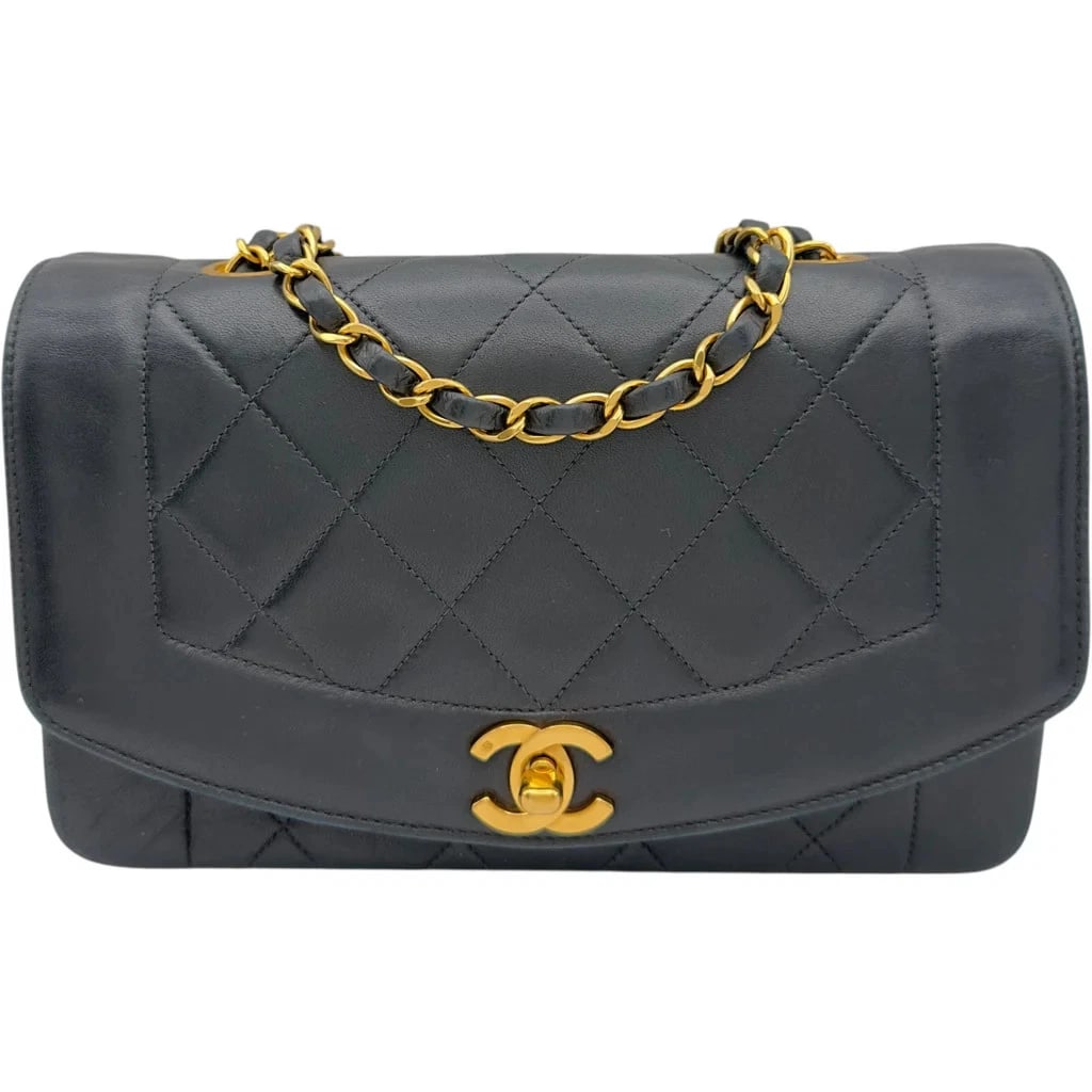 CHANEL DIANA 22 SHOULDER BAG (1 of 7)