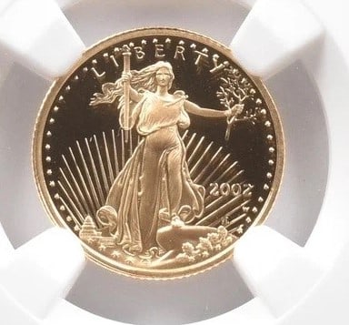 2002-W $5 AMERICAN GOLD EAGLE MERCANTI (1 of 2)