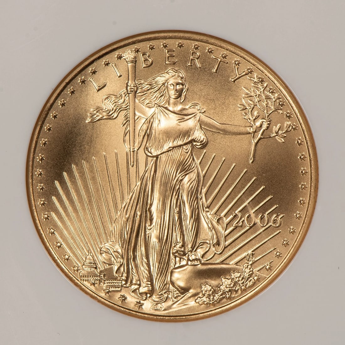 2006 G$25 1/2 OZ GOLD AMERICAN EAGLE HALF OUNCE: 2006 G$25 1/2 oz Gold American Eagle Half Ounce Brand/Mint: U.S. Mint Year: 2006 Fineness: 0.9167 Country of Origin: United States Accessories: None Accessories Notice: When purchasing pre-owned go