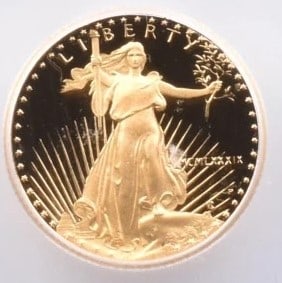 1989-P $5 AMERICAN GOLD EAGLE: 1989-P $5 American Gold Eagle Brand/Mint: None Year: 1989 Fineness: None Denomination: $5 Country of Origin: United States Accessories: None Accessories Notice: When purchasing pre-owned g