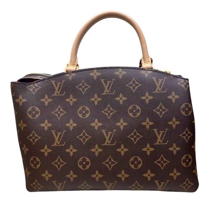 LOUIS VUITTON PETIT PALAIS PM HANDBAG (1 of 9)