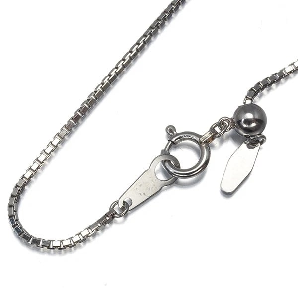 CHAIN NECKLACE 850 PLATINUM (1 of 2)
