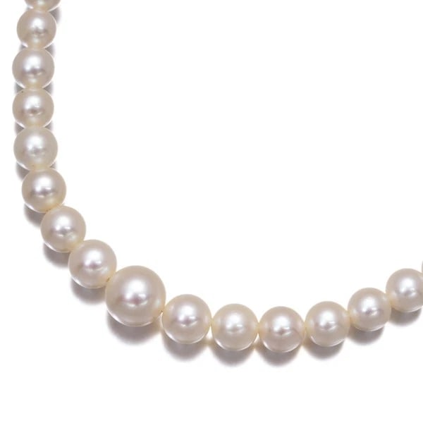 MIKIMOTO NECKLACE AKOYA PEARL SILVER: Mikimoto Necklace Akoya Pearl Silver Brand: MIKIMOTO Type: Necklace Material: SILVER, Color: Silver Size: Necklace length: 45cm Accessories: None Accessories Notice: When purchasing pre-ow
