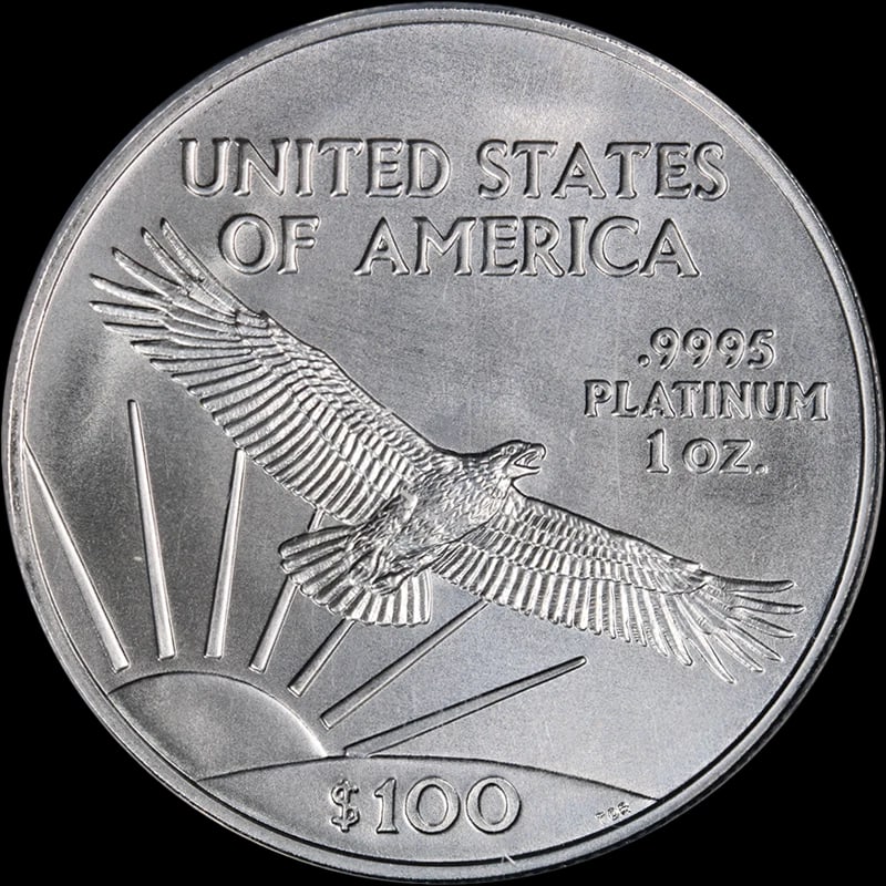 2008 PLATINUM AMERICAN EAGLE $100 - 2