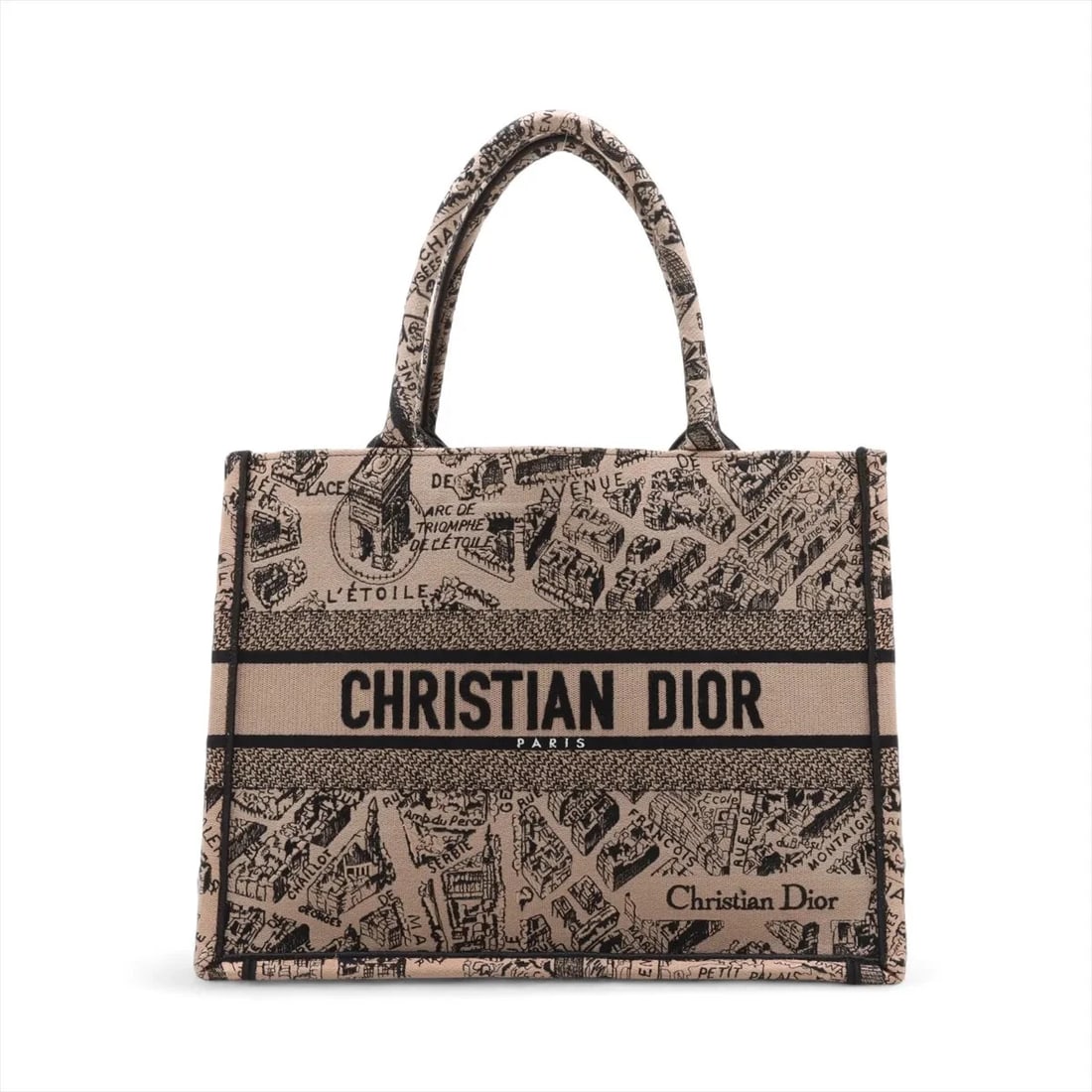 CHRISTIAN DIOR BOOK TOTE MEDIUM CANVAS TOTE BAG TOTE BAG (1 of 6)