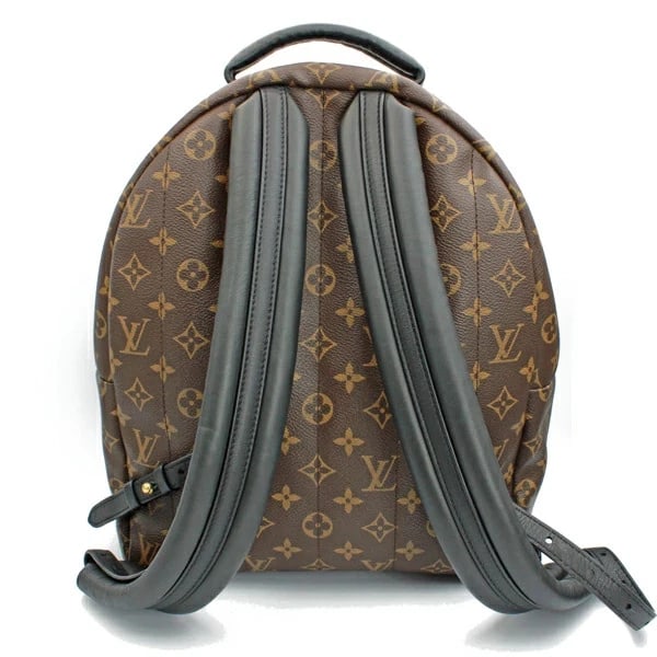 LOUIS VUITTON PALM MM MONOGRAM CANVAS BACKPACK - 3