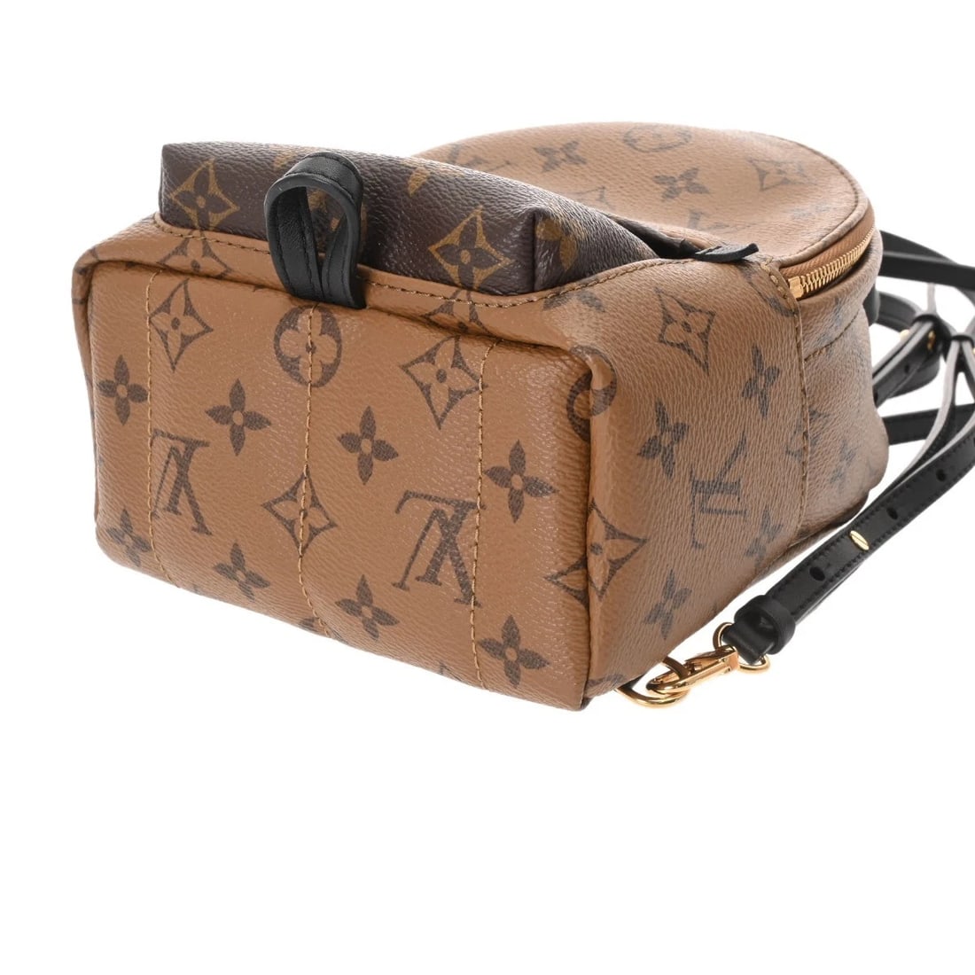 LOUIS VUITTON PALM BACKPACK MINI NEW MODEL MONOGRAM - 4