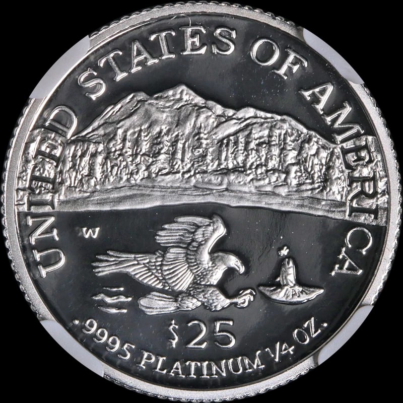 2002-W PLATINUM AMERICAN EAGLE $25 - 2