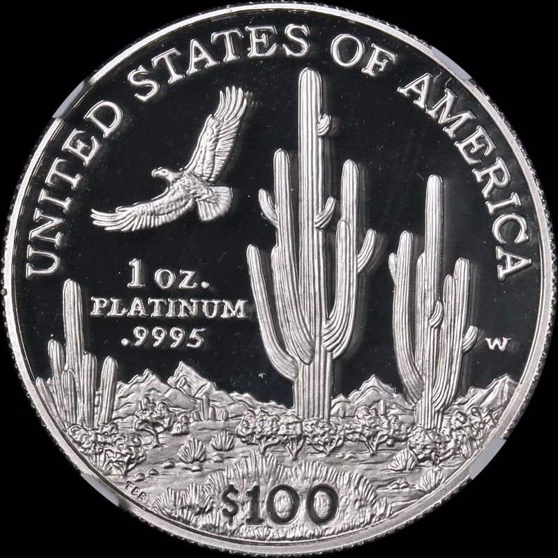 2001-W PLATINUM AMERICAN EAGLE $100 - 2