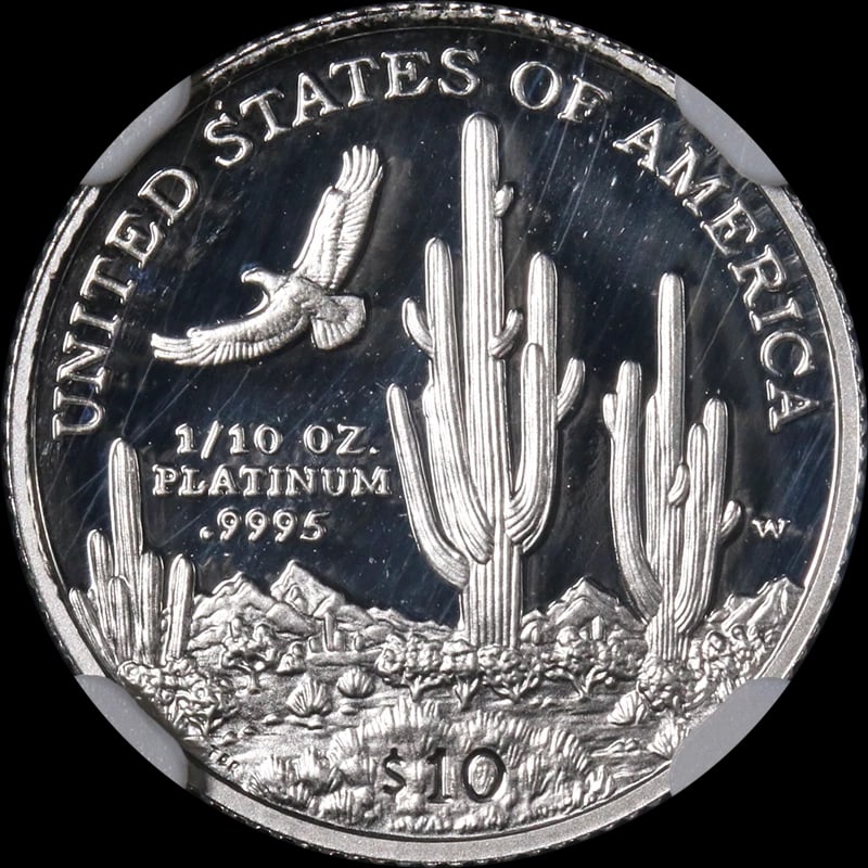 2001-W PLATINUM AMERICAN EAGLE $10 - 2