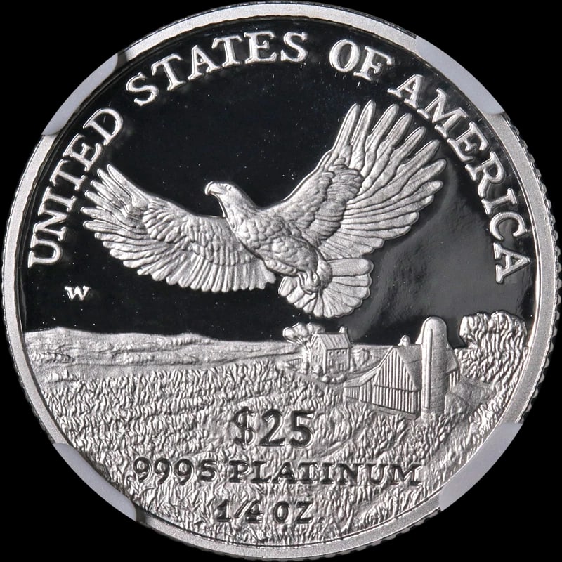 2000-W PLATINUM AMERICAN EAGLE $25 - 2