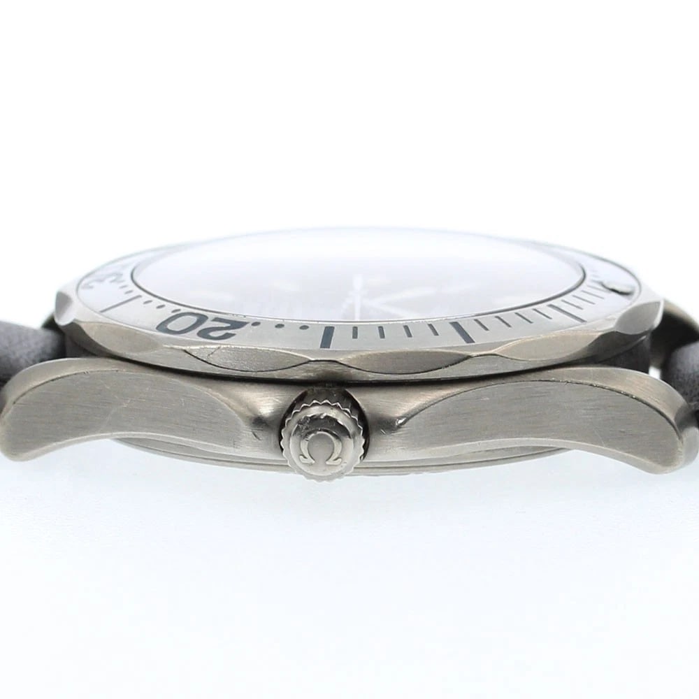 OMEGA SEAMASTER PROFESSIONAL AUTOMATIC WATCH - 3