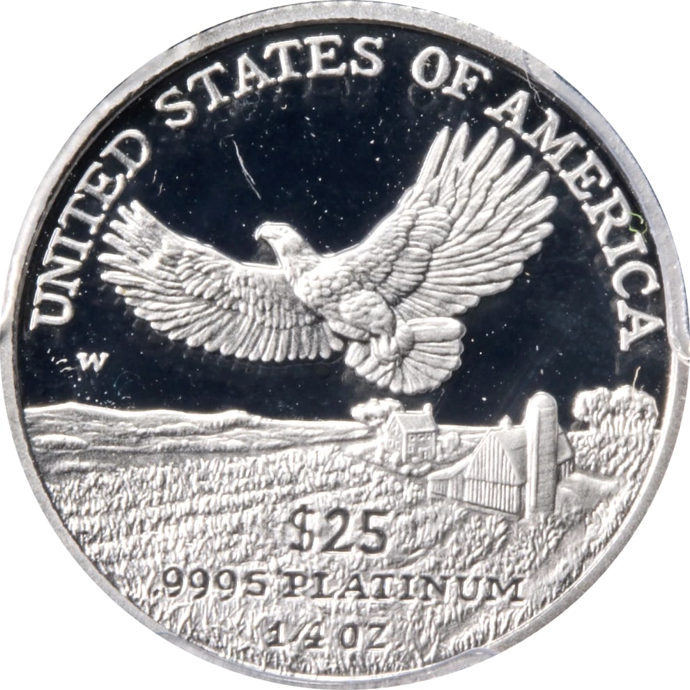 2000-W PLATINUM AMERICAN EAGLE - 2