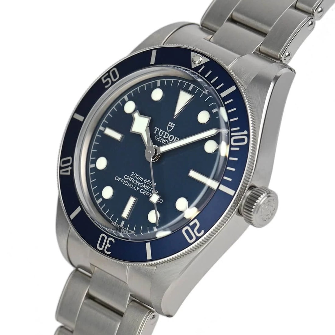 TUDOR BLACK BAY WATCH (1 of 3)