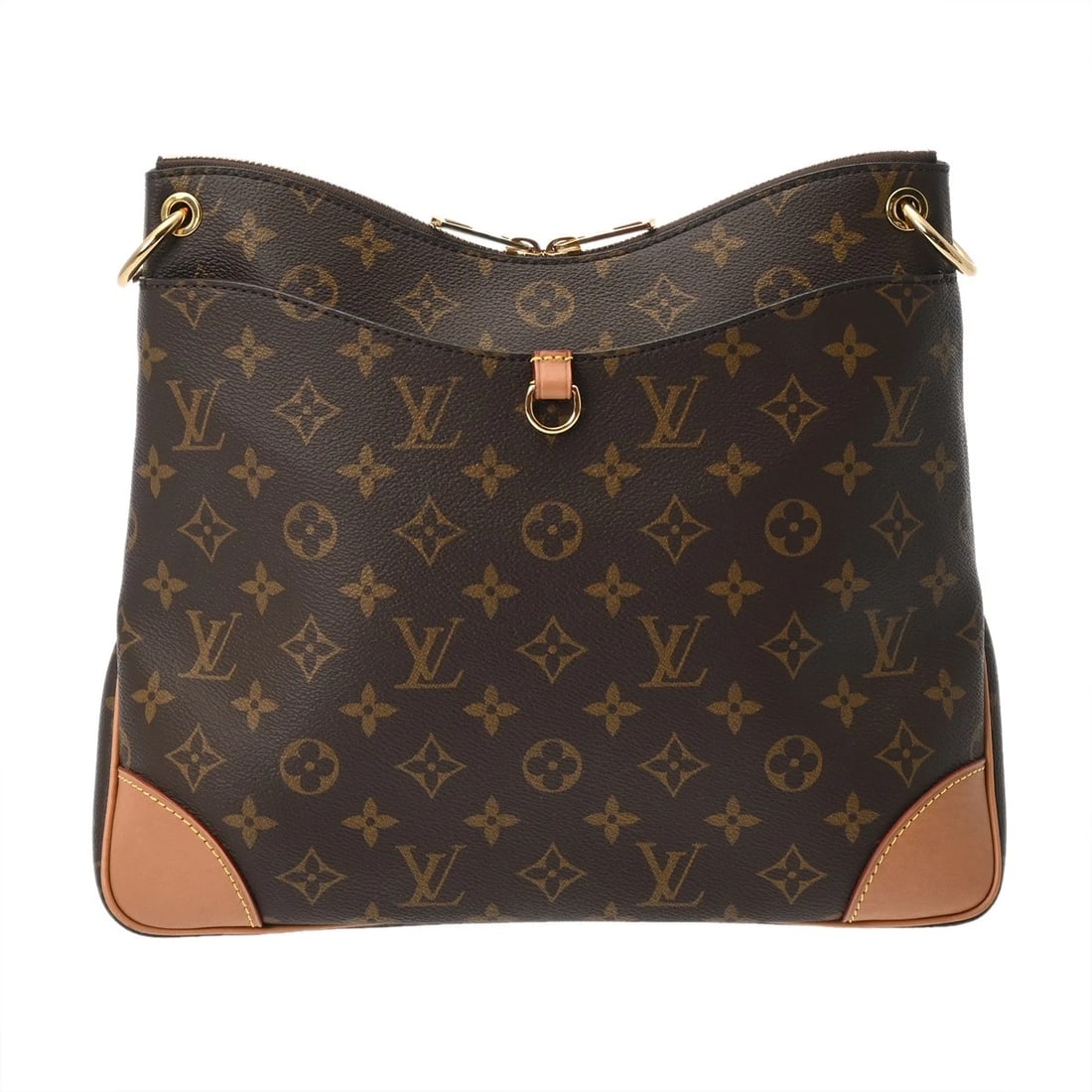 LOUIS VUITTON MONOGRAM CANVAS BROWN (1 of 6)
