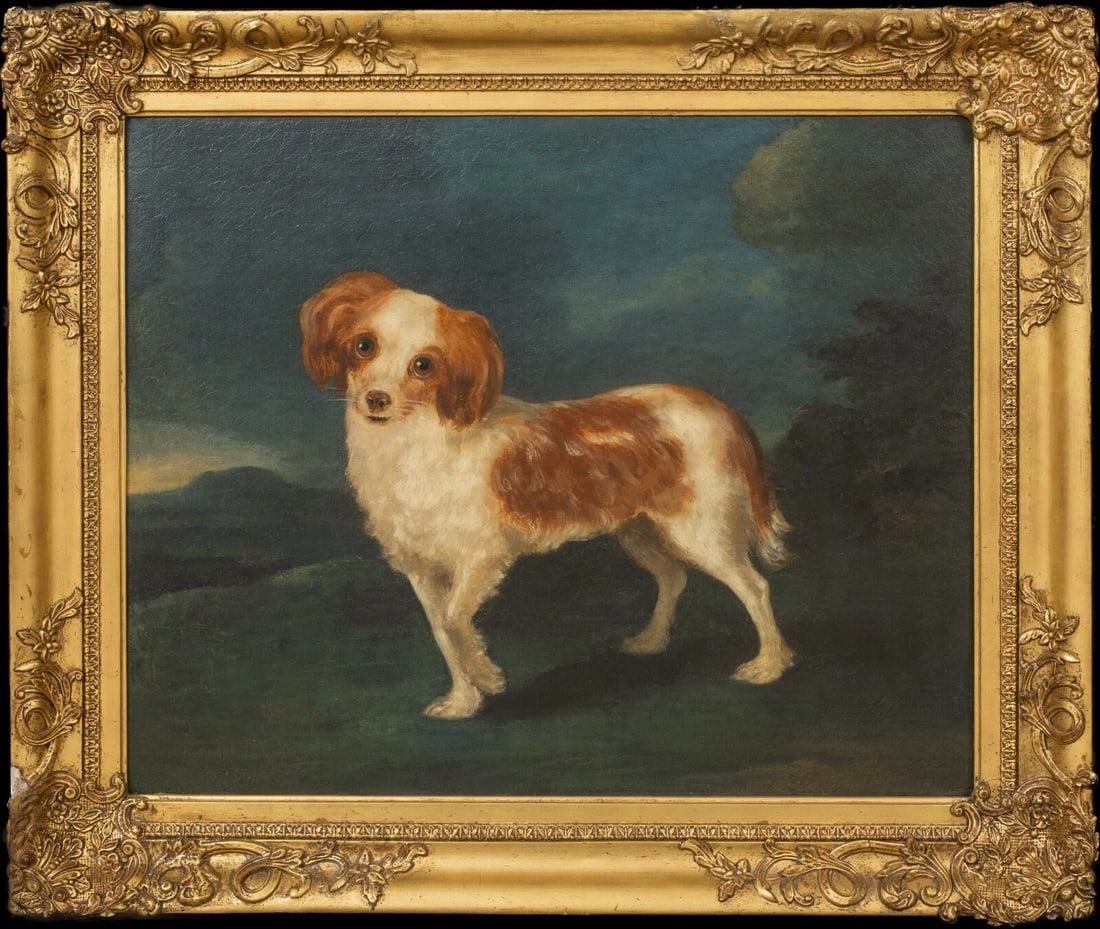 PORTRAIT OF A KING CHARLES SPANIEL OIL PAINTING: Year: 18th century Size: 29" x 26.5" Medium: Oil Description: Huge oil on canvas portrait of a King Charles Spaniel from the English School in the eighteenth century. Outstanding quality and condition