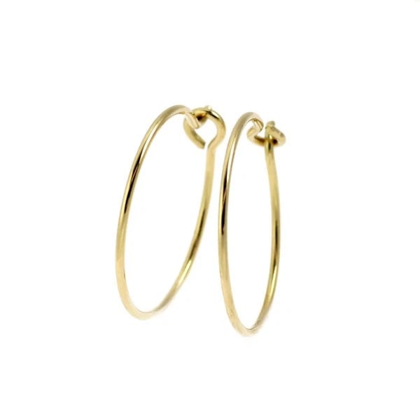 ALIITA K18YG HOOP EARRINGS: ALIITA K18YG HOOP EARRINGS Brand: None Type/Style: piercing Material: K18YG Color: YG Size: Length/Width/Diameter18.3 Accessories: None Accessories Notice: When purchasing pre-owned goods, please